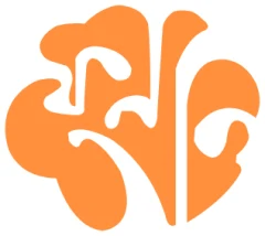 Fulki School logo